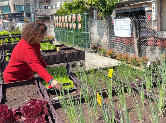 城市不彎腰菜園 美化環境提昇居住心靈品質
