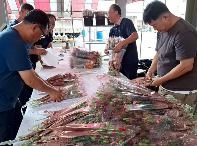 隨著母親節將至康乃馨量少導致價格上漲三成，市場零售價格飆漲至一枝35元