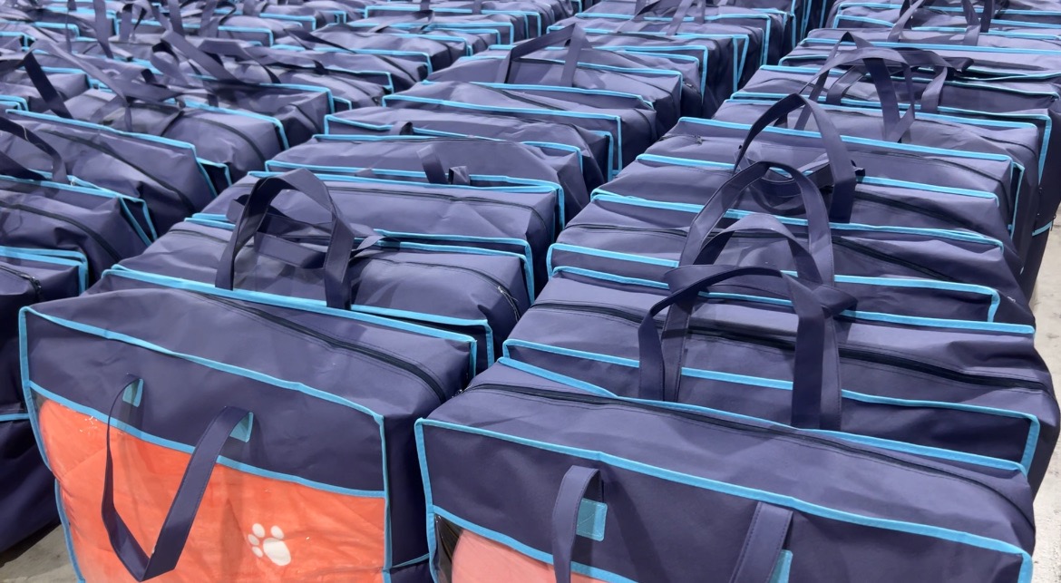 (大頭條新聞TOP-News)